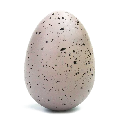 Notchi egg stage